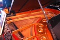 C. Bechstein Model III Plate