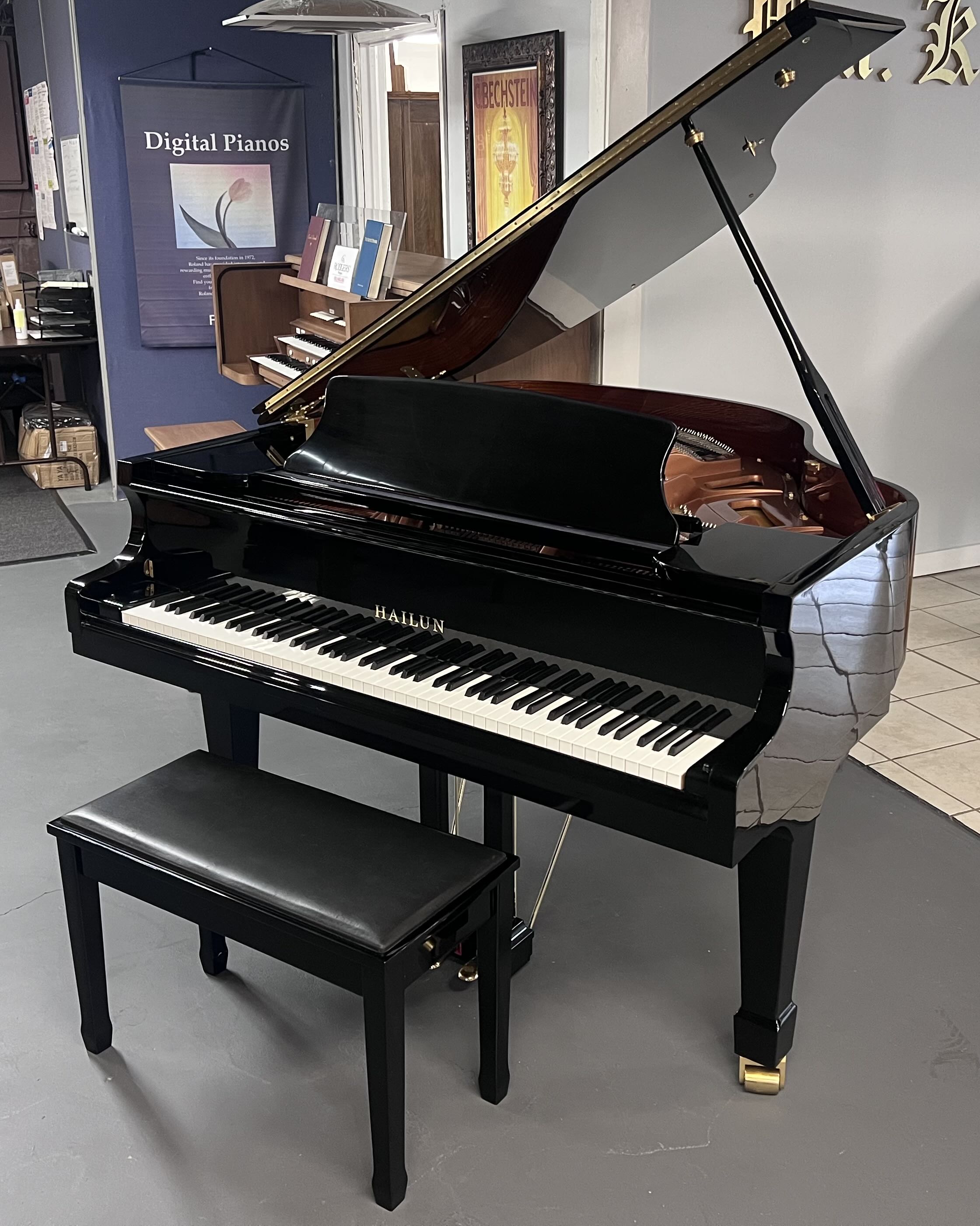 Hailun hi gloss ebony